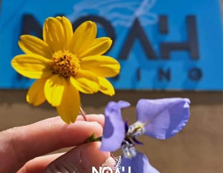 호스텔 Noah Housing