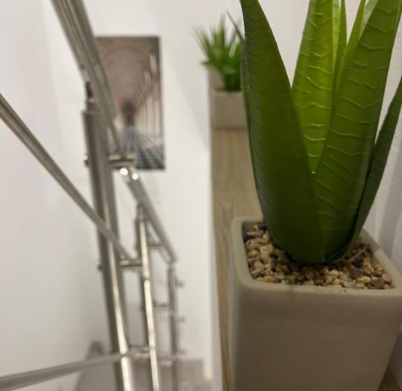 צימר Alojamientos El Carmen