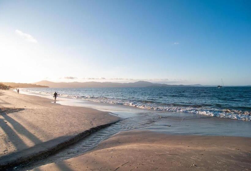 Coberturaduplex, 1quadra Da Praia Em Jurerê Gd3611