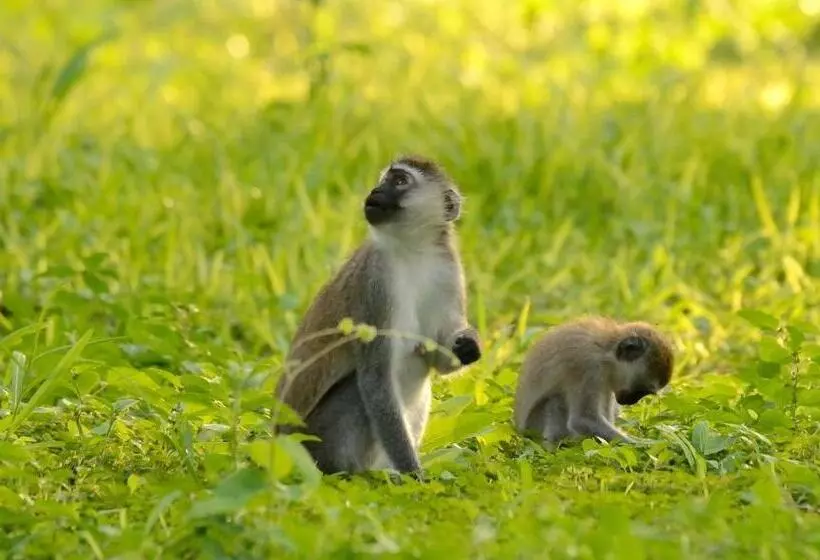 Hotelli Migunga Tented Camp