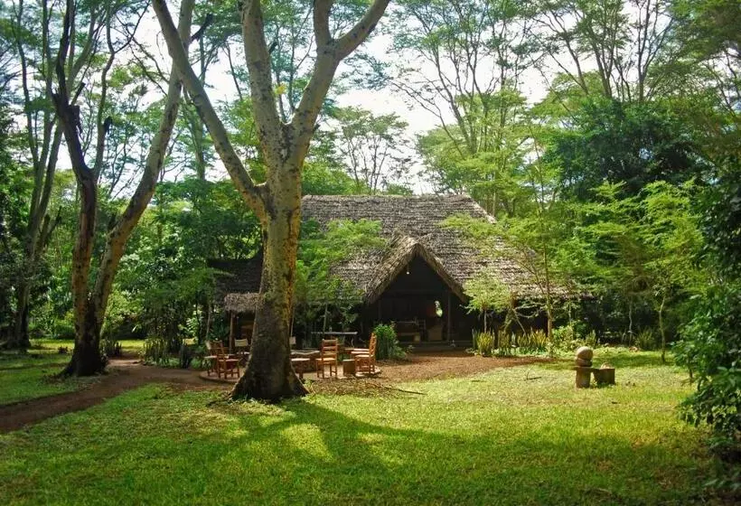 Hotelli Migunga Tented Camp