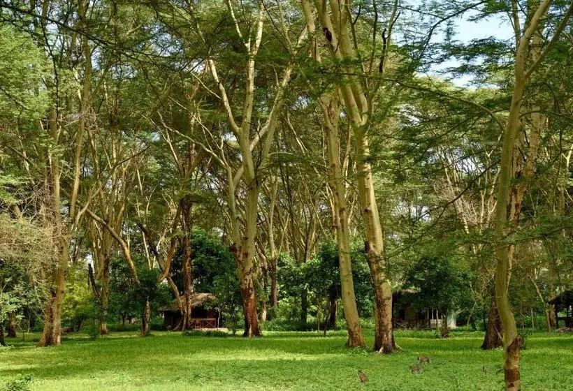 Hotelli Migunga Tented Camp