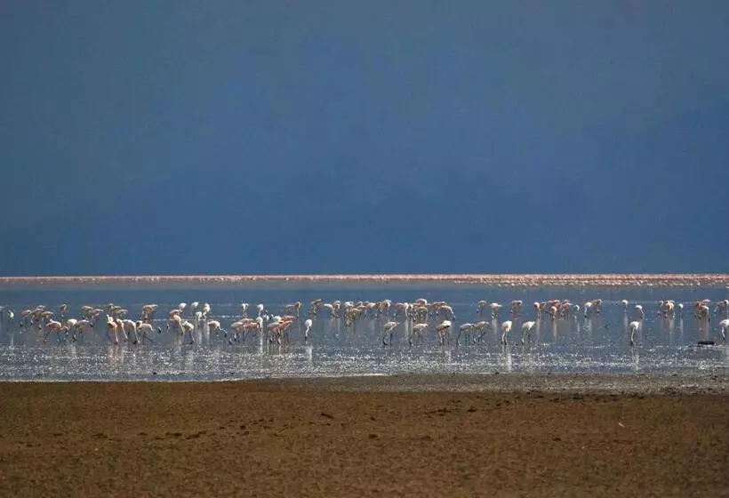 Hotelli Migunga Tented Camp