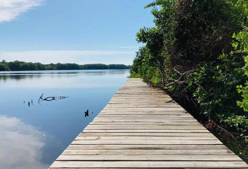 هتل Shores Plantation Cabañas