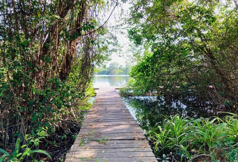 هتل Shores Plantation Cabañas