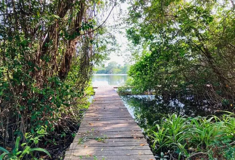 هتل Shores Plantation   Cabañas