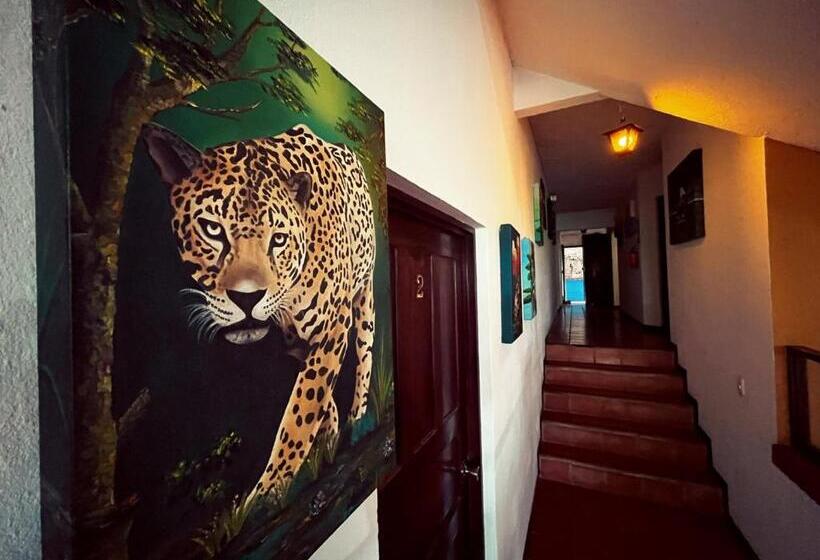 هتل Siwõ Art Guesthouse