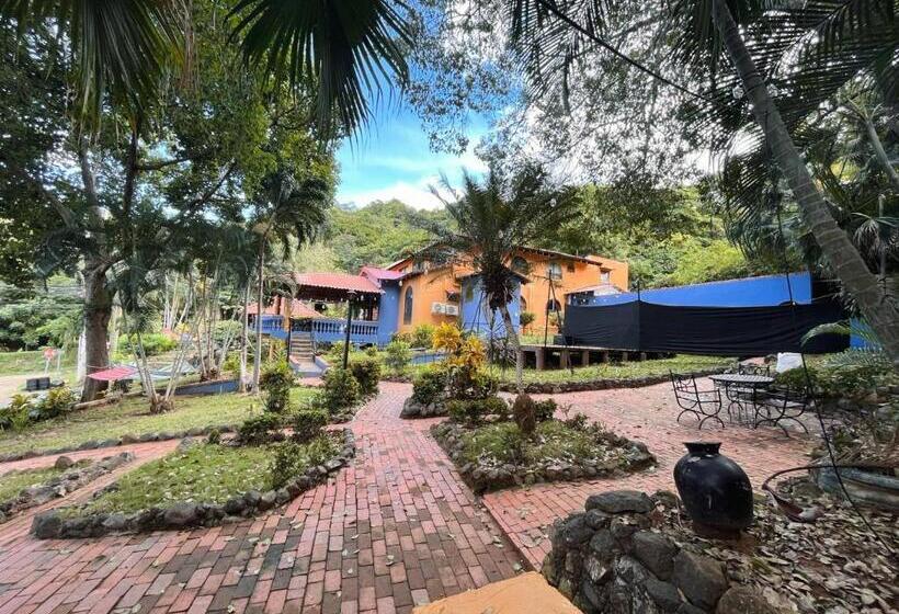 هتل Siwõ Art Guesthouse