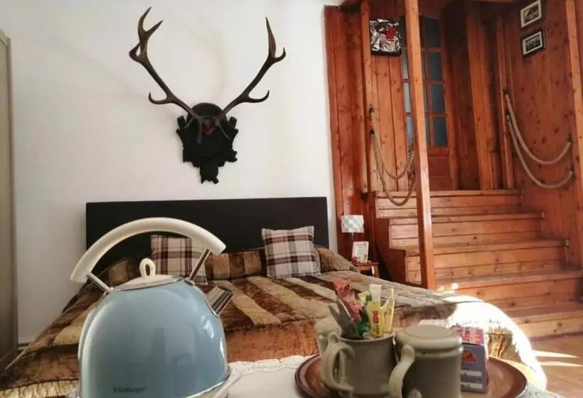 ペンション Casa Rania Rustic