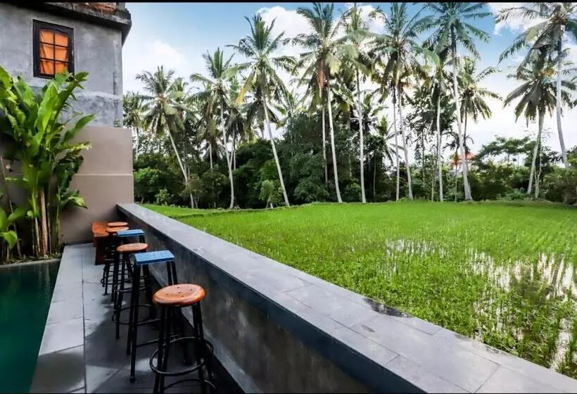 ペンション Harmony House 4, 2 Min Ubud Center Room Near Pool