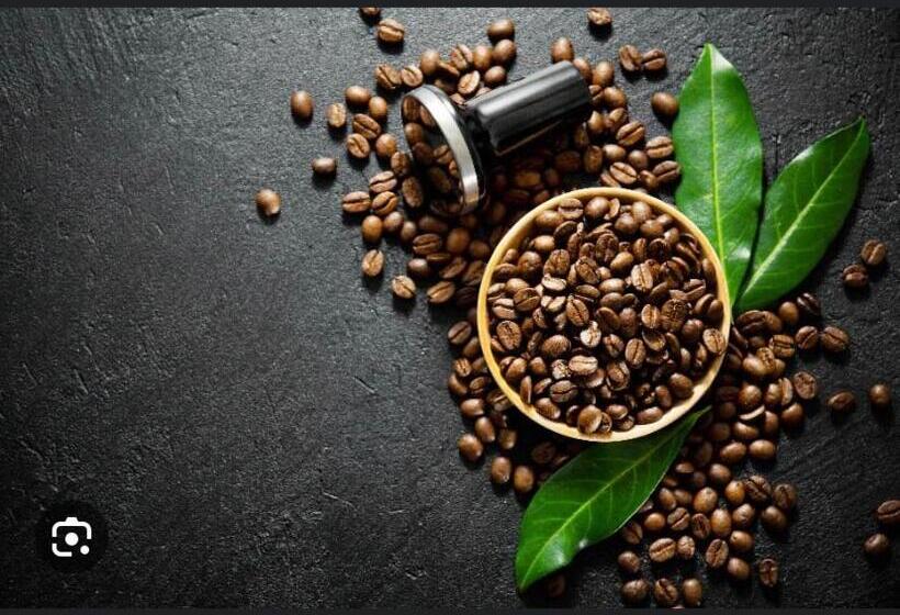 پانسیون Hobbitenango Farm