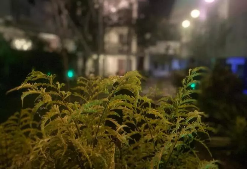 ペンション Lion House