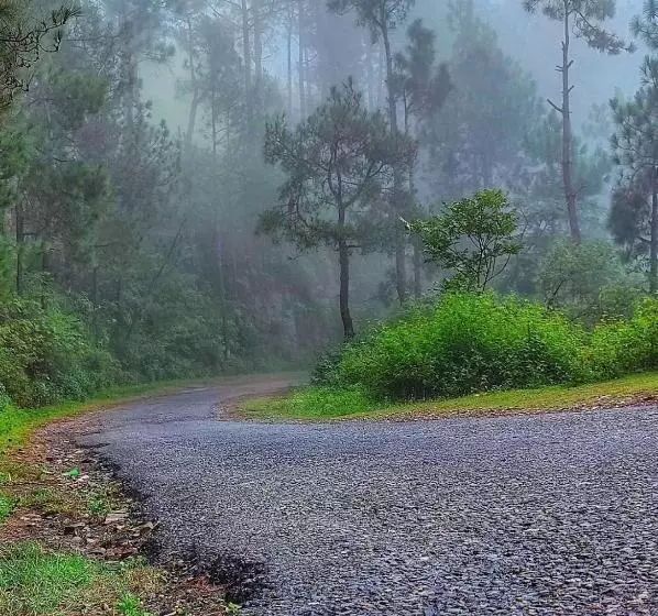 Lomakeskus Kabana De Nature