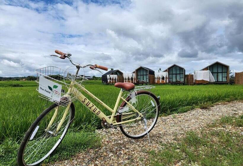 منتجع The Field@pua เดอะฟิลด์แอทปัว