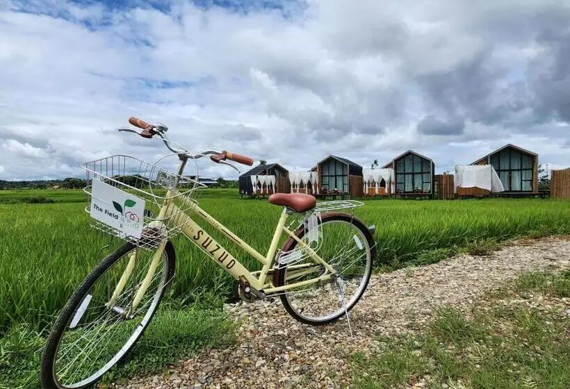 リゾートホテル The Field@pua เดอะฟิลด์แอทปัว