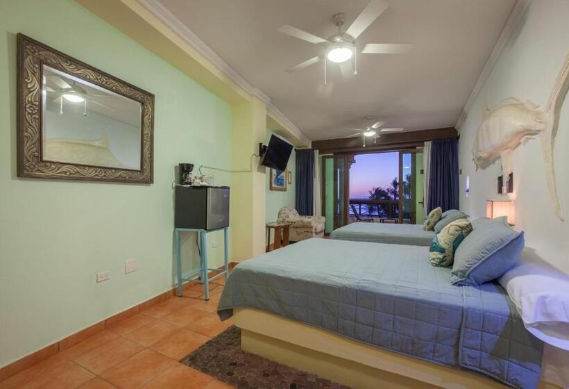 هاستل Posada Maria California