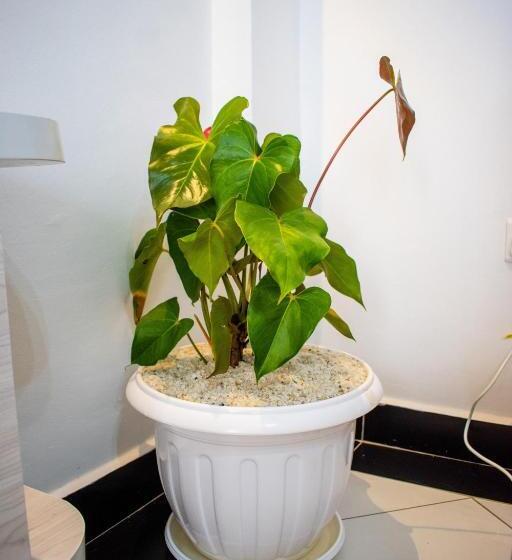 تختخواب و صبحانه Jakewa Jc Homes