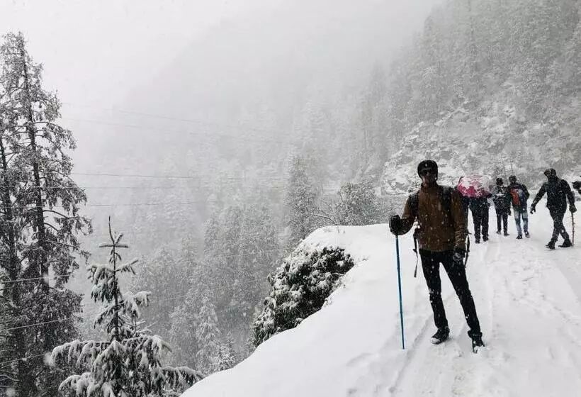 Retkeilymaja Forest Vibes Kalatop Rooms Restaurant