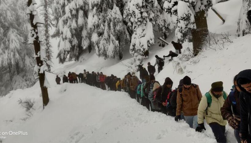 Albergue Forest Vibes Kalatop Rooms Restaurant