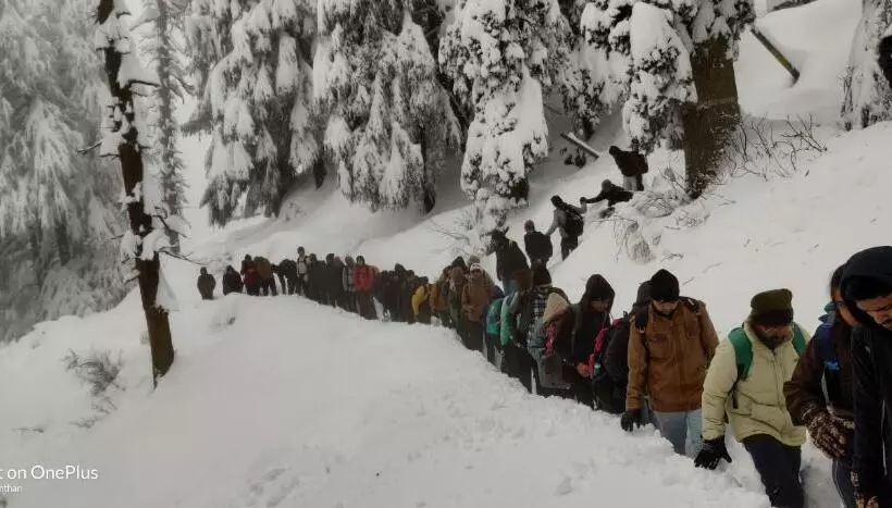 Retkeilymaja Forest Vibes Kalatop Rooms Restaurant