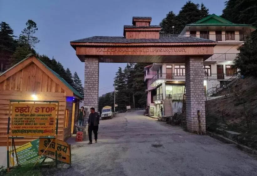 Retkeilymaja Forest Vibes Kalatop Rooms Restaurant