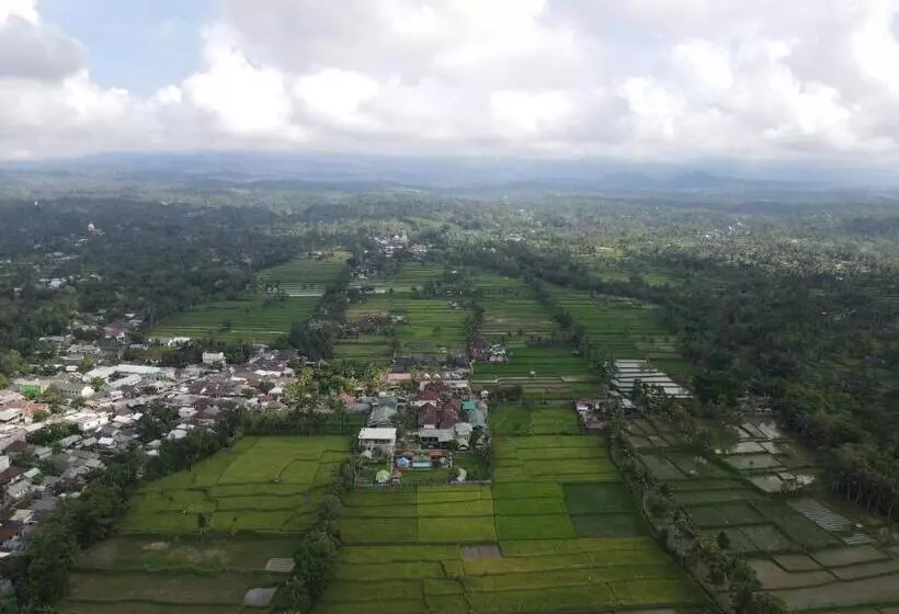 ホテル Green Orry Inn Tetebatu