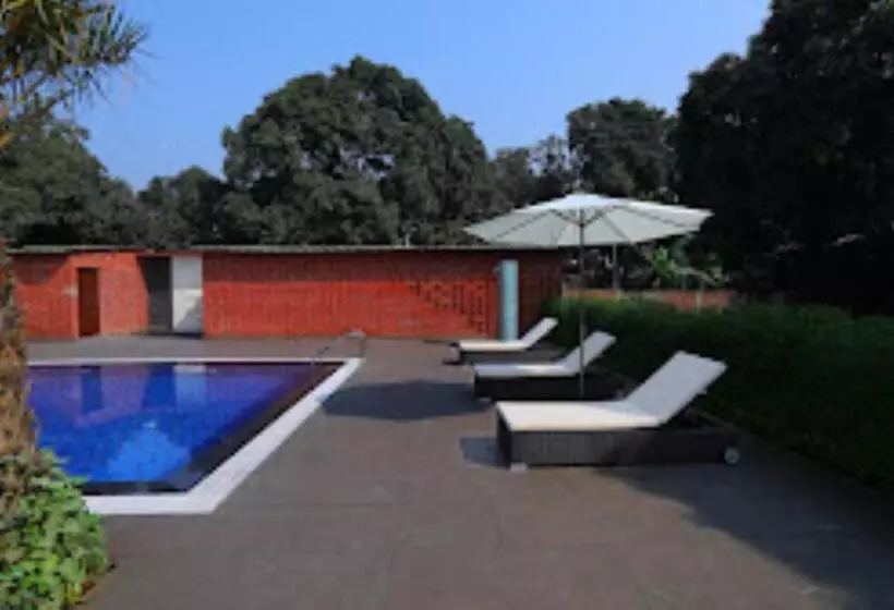 Mango Tree Resorts,ranapur