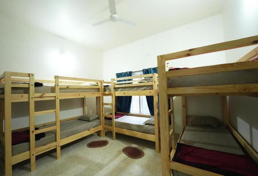 Palace Hostel By Borrbo