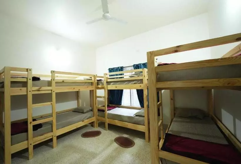 Palace Hostel By Borrbo