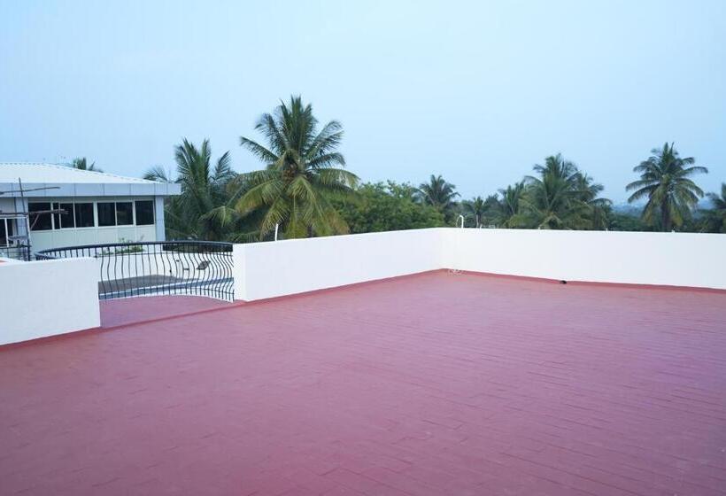 Palace Hostel By Borrbo