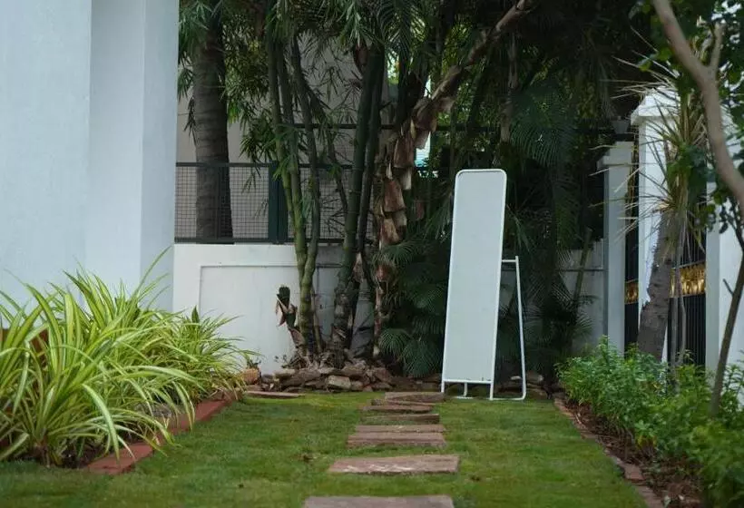 Palace Hostel By Borrbo