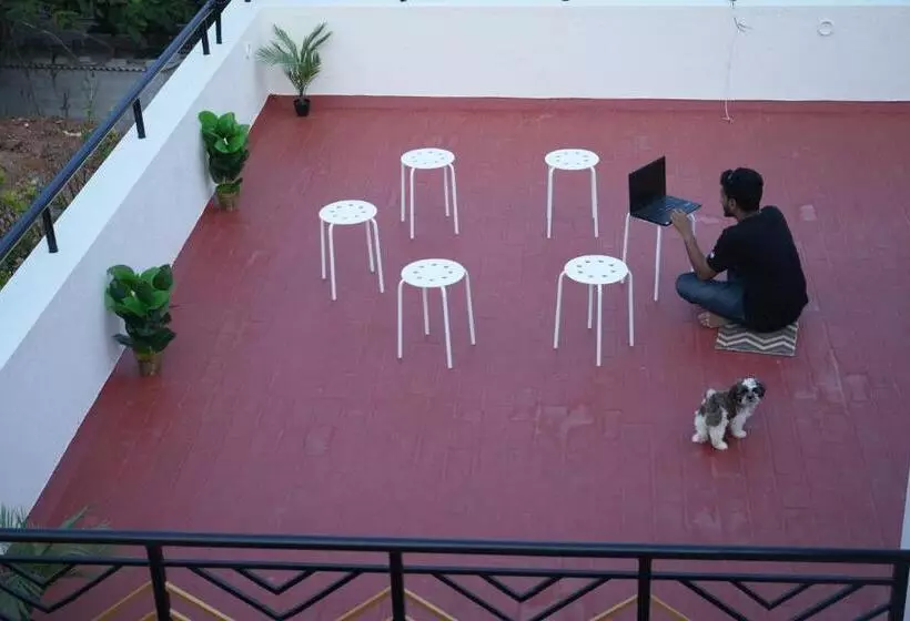 Palace Hostel By Borrbo