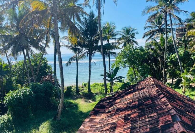 پانسیون Ocean Guest House