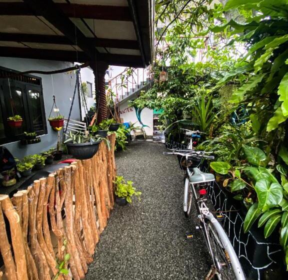 پانسیون Ocean Guest House