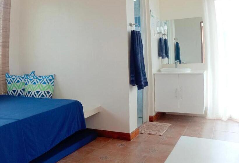 Bed and Breakfast Alon Stay