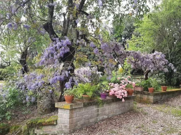 ホテル Agriturismo La Romanella
