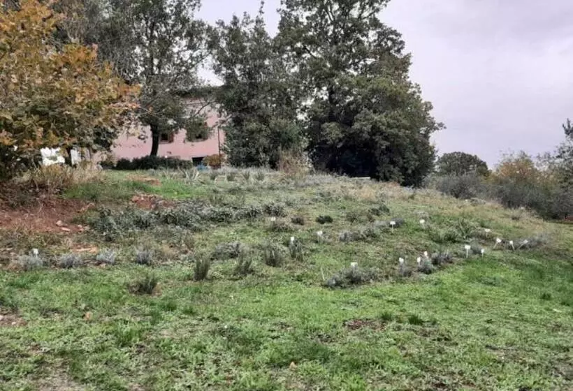 ホテル Agriturismo La Romanella