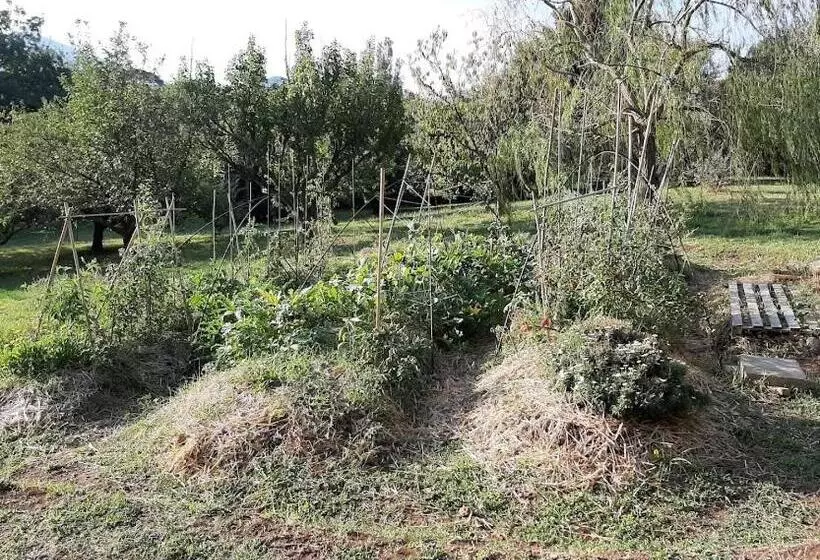ホテル Agriturismo La Romanella
