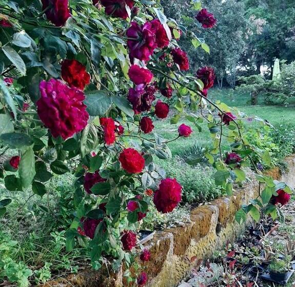 ホテル Agriturismo La Romanella