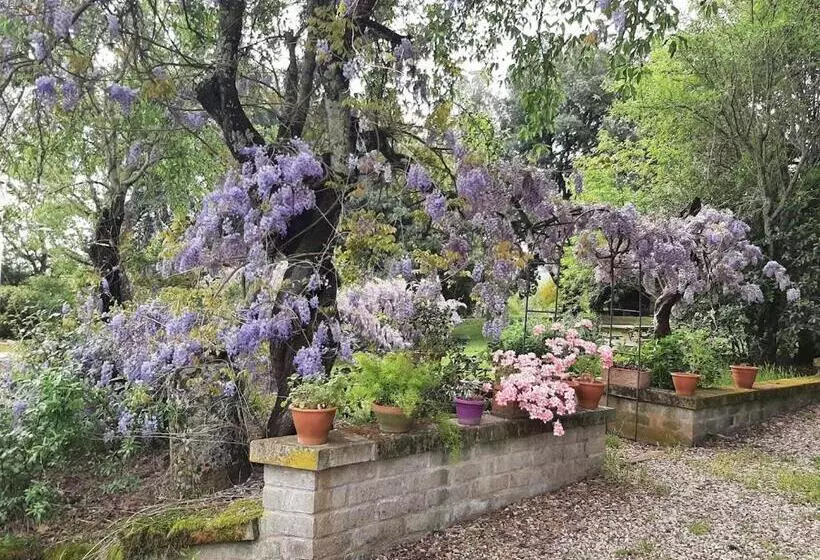 ホテル Agriturismo La Romanella