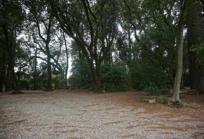 ホテル Agriturismo La Romanella