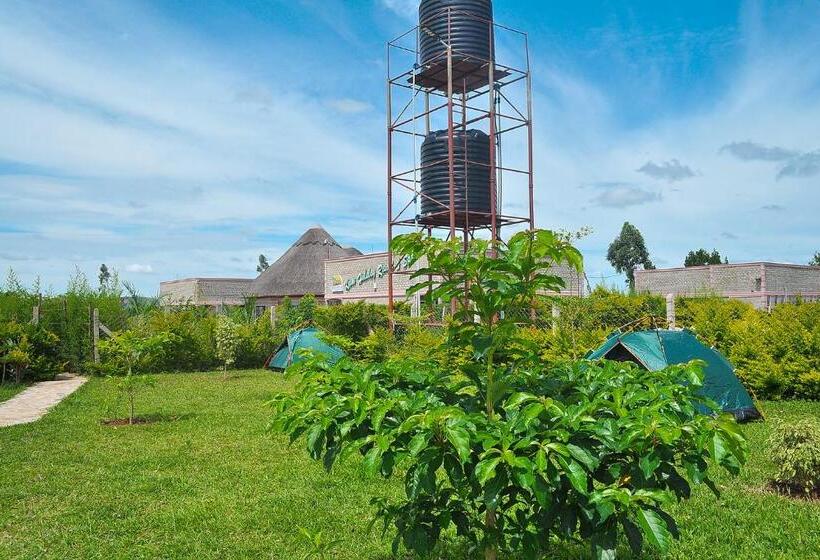 هتل Krim Holiday Resort