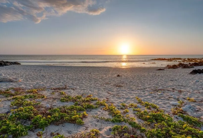 Le Moma By The Ocean