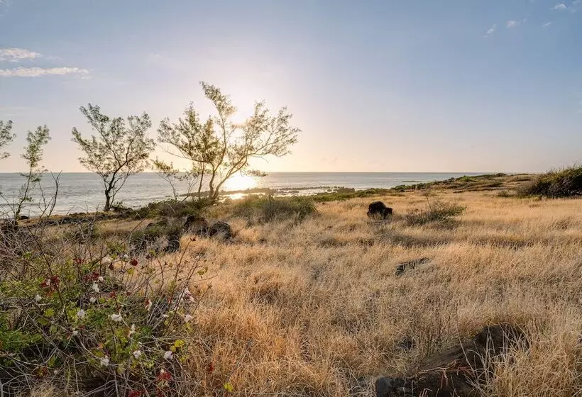 Le Moma By The Ocean