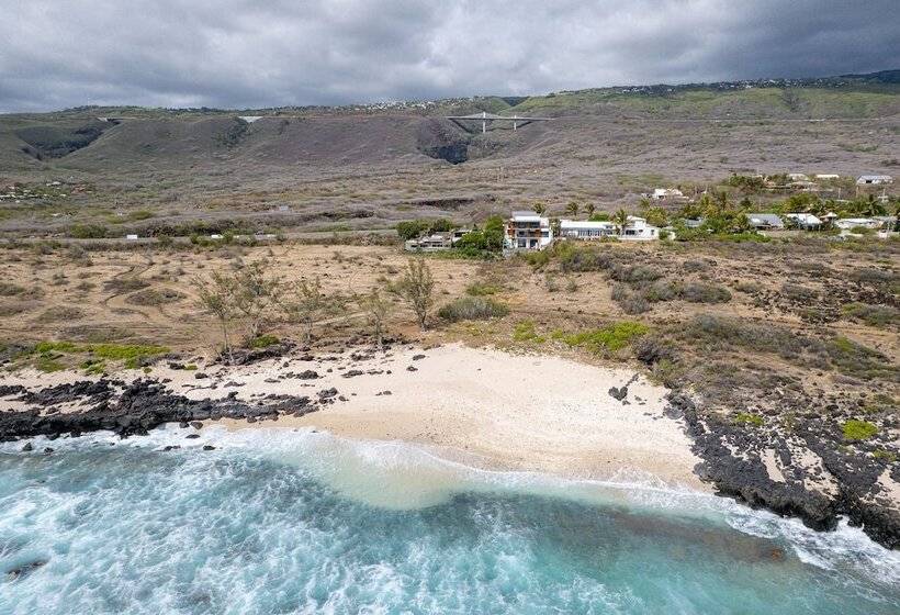 Le Moma By The Ocean