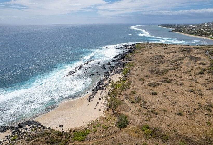 Le Moma By The Ocean
