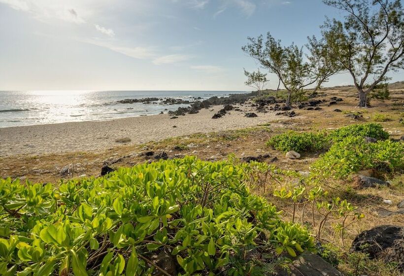 Le Moma By The Ocean