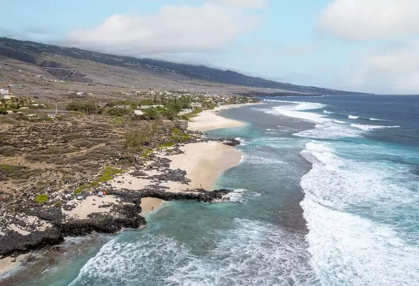 Le Moma By The Ocean