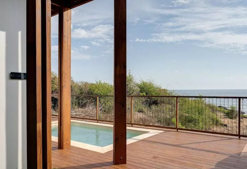 Le Moma By The Ocean