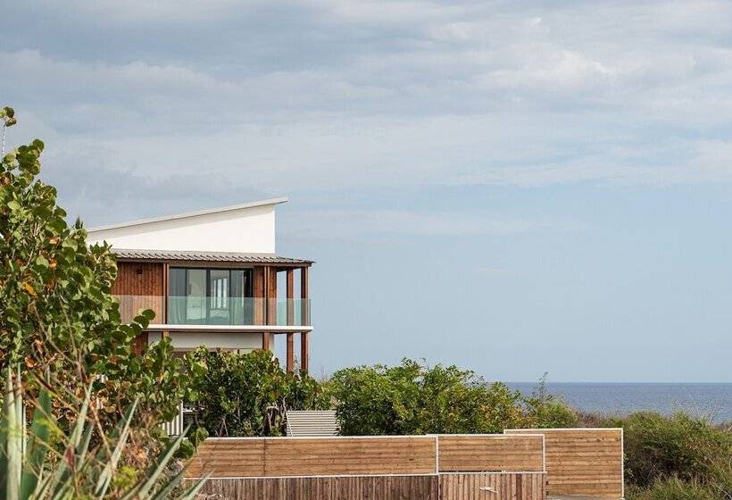 Le Moma By The Ocean